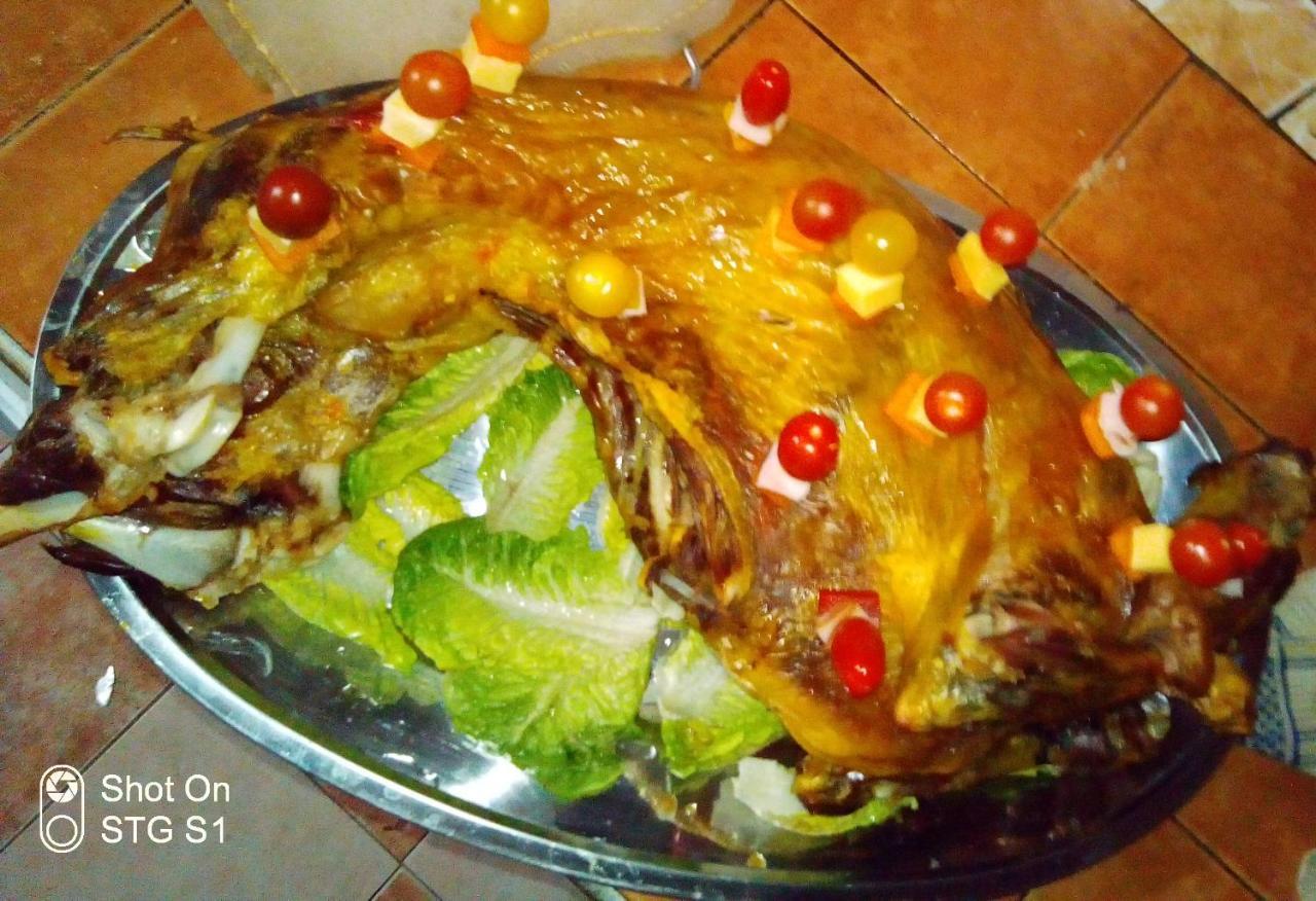 Maison Nomades Aït Boukha Εξωτερικό φωτογραφία